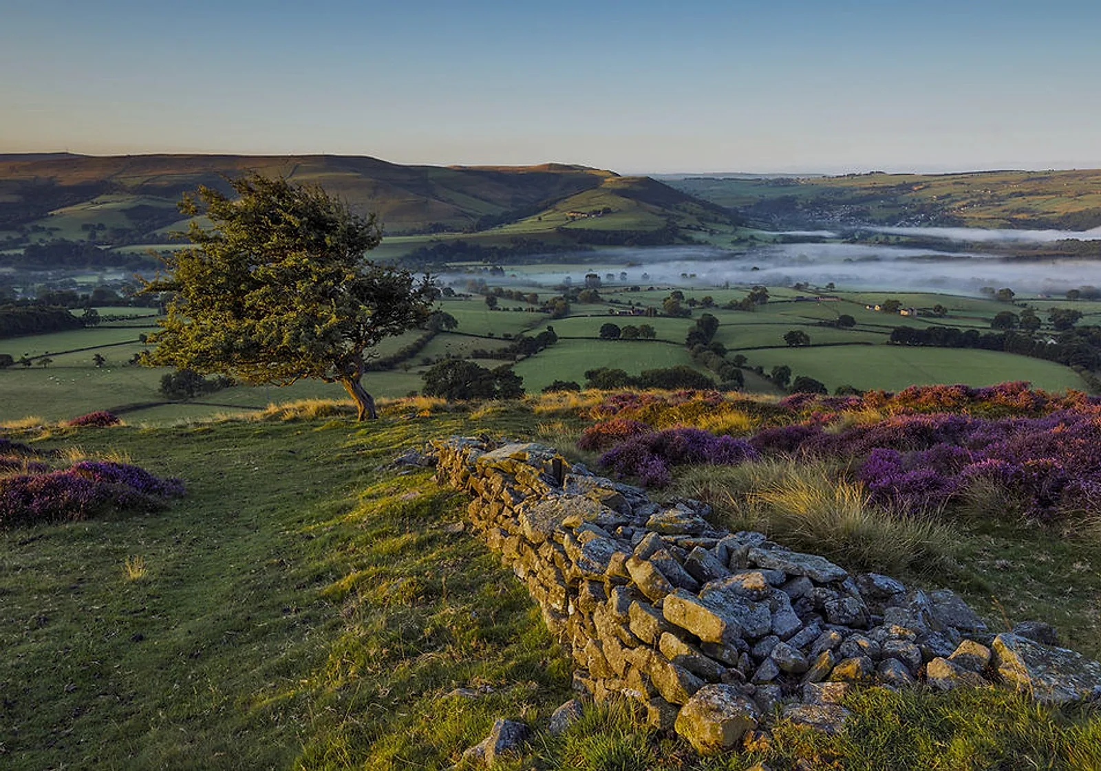 Quiet Yorkshire landscape at dawn New Day Therapies overview